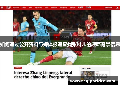 如何通过公开资料与媒体报道查找张琳芃的族裔背景信息