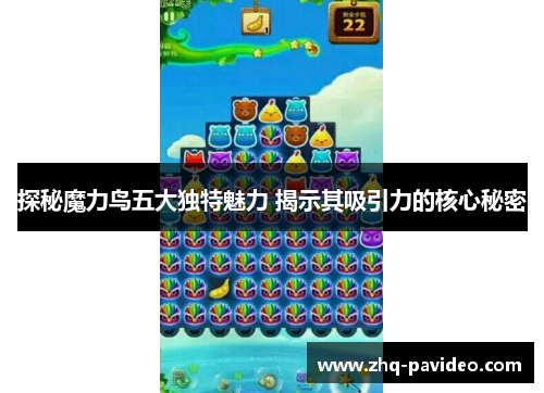 探秘魔力鸟五大独特魅力 揭示其吸引力的核心秘密